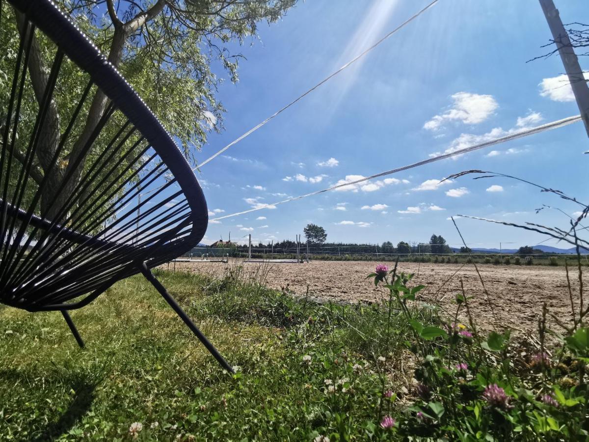 Podkowa Modliszow Villa Bagian luar foto